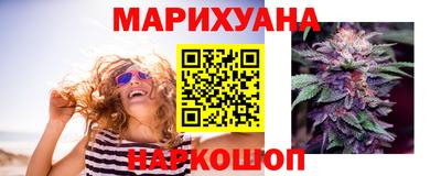 гашик Шелехов