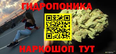 гашик Шелехов