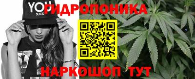 гашик Шелехов