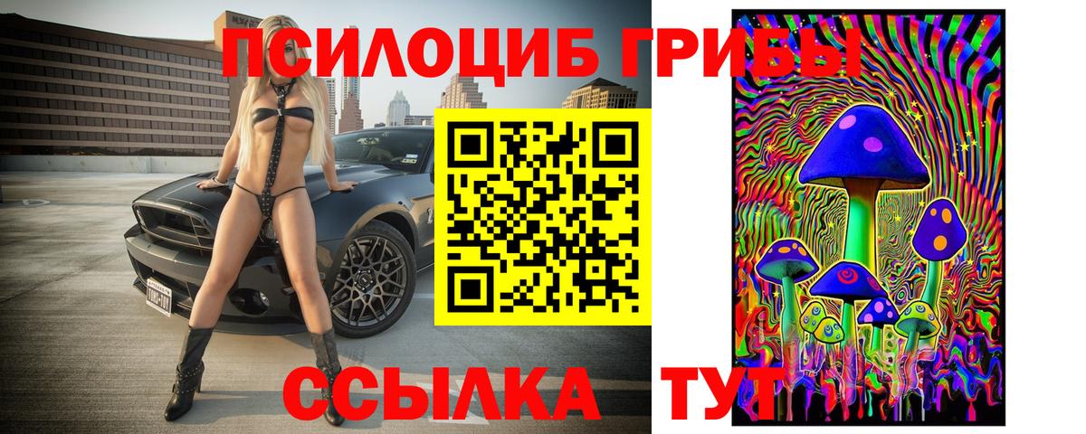 Галлюциногенные грибы Psilocybe Касимов
