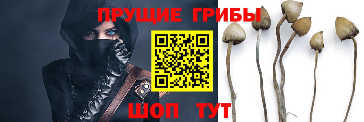 Касимов  Галлюциногенные грибы Psilocybine cubensis  Галлюциногенные грибы Magic Shrooms  Вход с VPN 